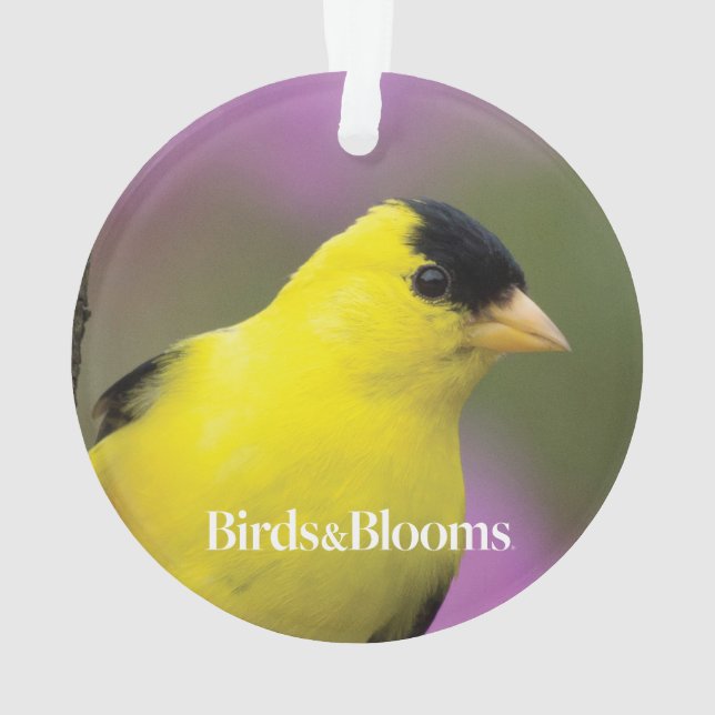 Goldfinch Ornament (Back)
