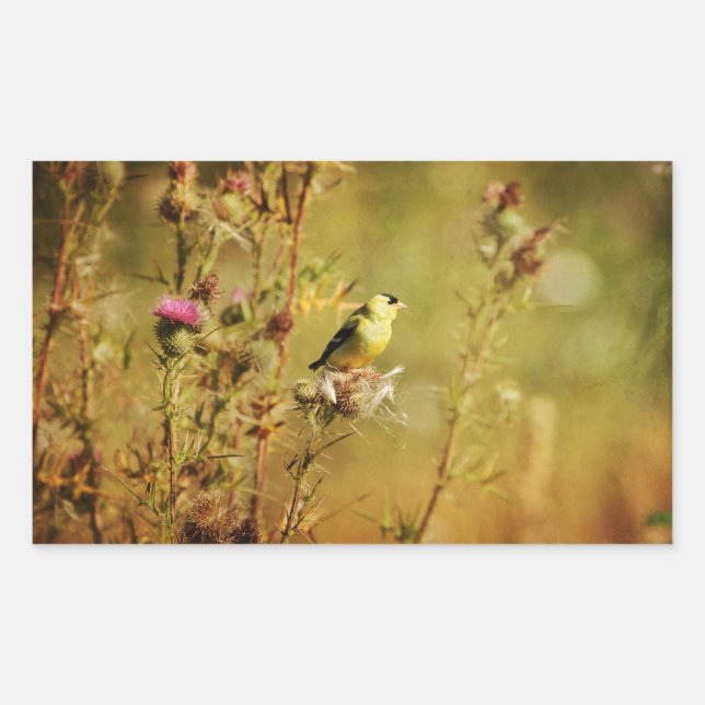 Goldfinch Photo Rectangular Sticker (Front)