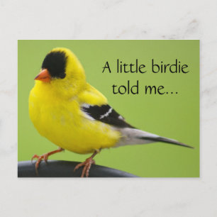 Goldfinch Postcard