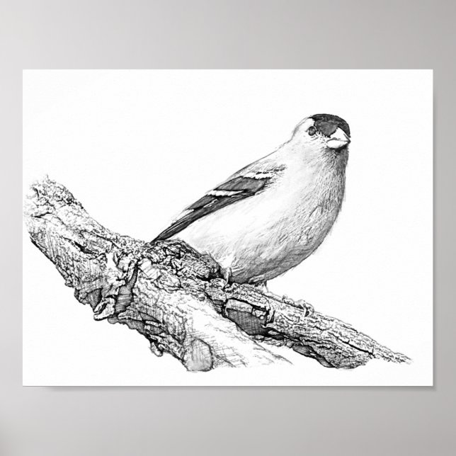 Goldfinch Poster (Front)