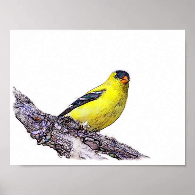 Goldfinch Poster (Front)