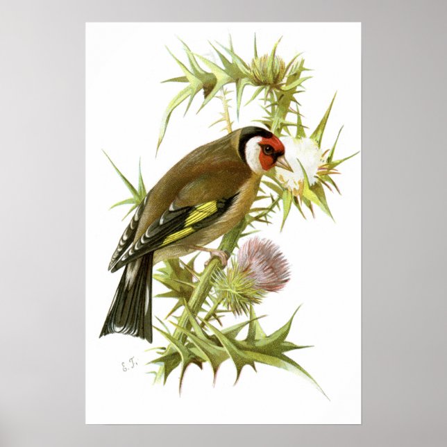 Goldfinch Poster (Front)