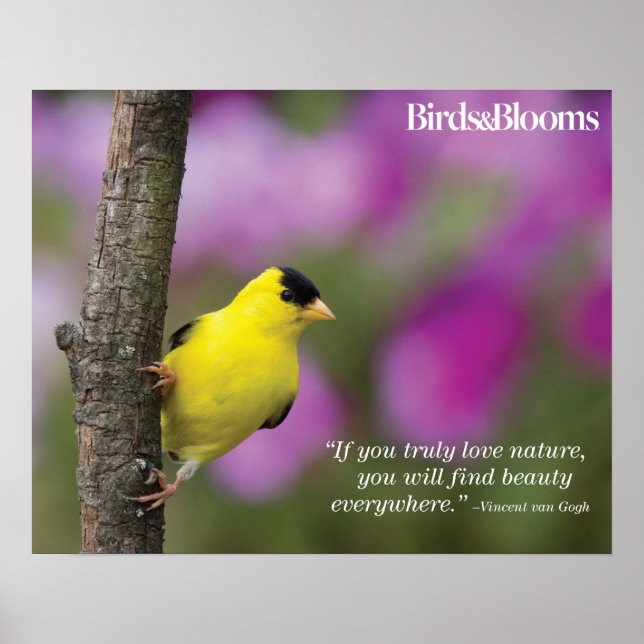 Goldfinch Poster (Front)