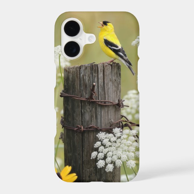 Goldfinch Singing on a Fence Post (Back)