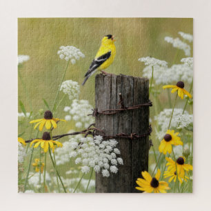 Goldfinch Singing on a Fence Post Jigsaw Puzzle