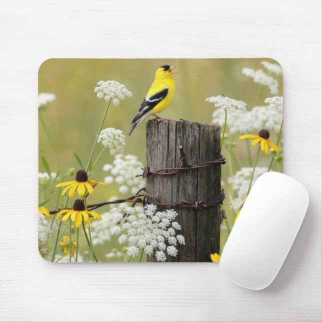 Goldfinch Singing on a Fence Post Mouse Mat (With Mouse)