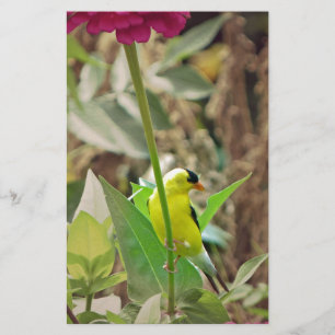 Goldfinch Stationery