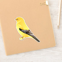 Goldfinch sticker
