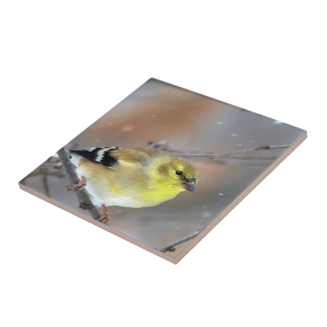 Goldfinch Tile (Side)