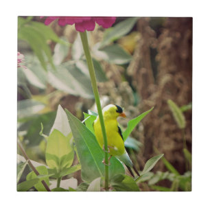 Goldfinch Tile