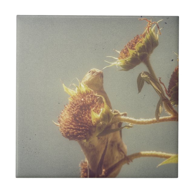 Goldfinch Tile (Front)