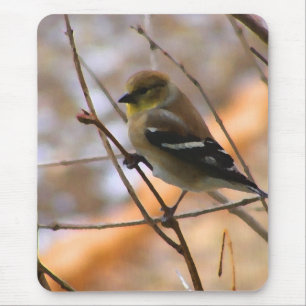 Goldfinch Watercolor Mouse Mat