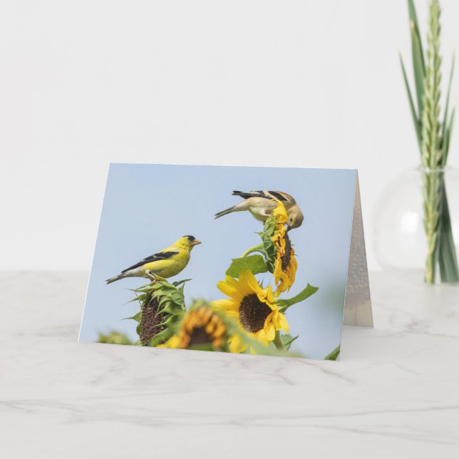 Goldfinches and Sunflowers Greeting Card (Front)