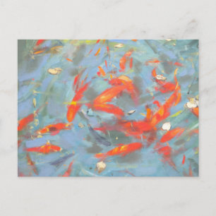 Goldfish 2010 2 postcard