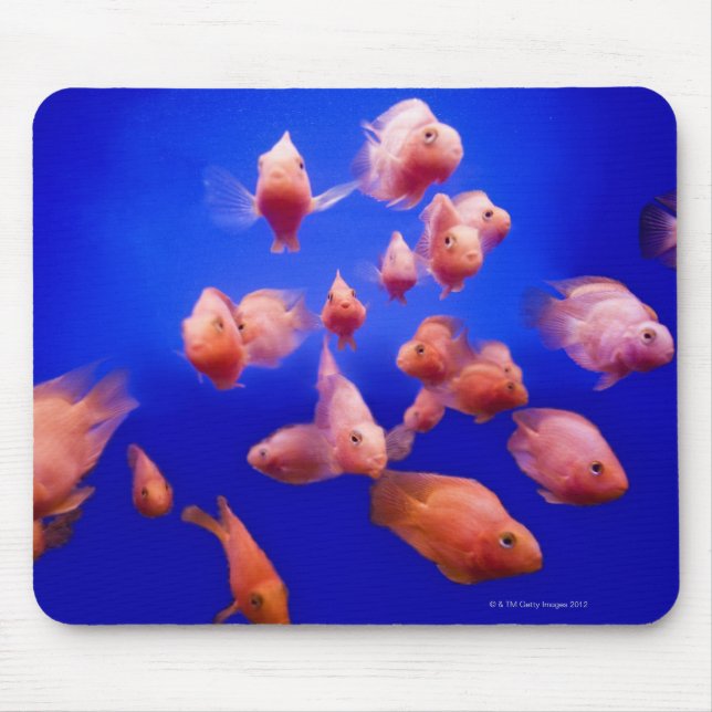 Goldfish 2 mouse mat (Front)