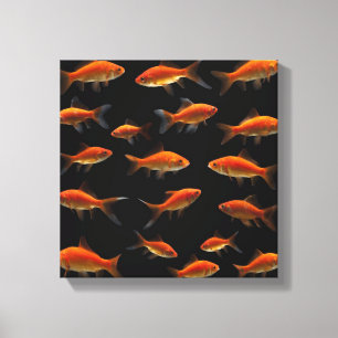 Goldfish 3 canvas print