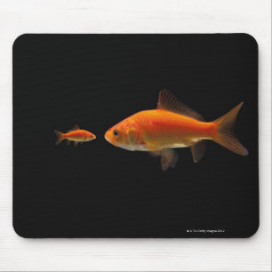 Goldfish 3 mouse mat