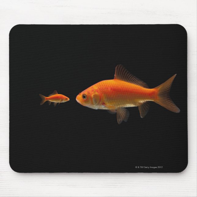 Goldfish 3 mouse mat (Front)