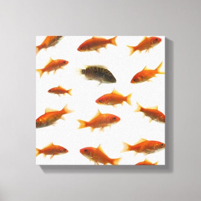 Goldfish 4 canvas print (Front)