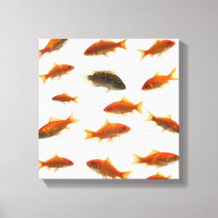 Goldfish 4 canvas print