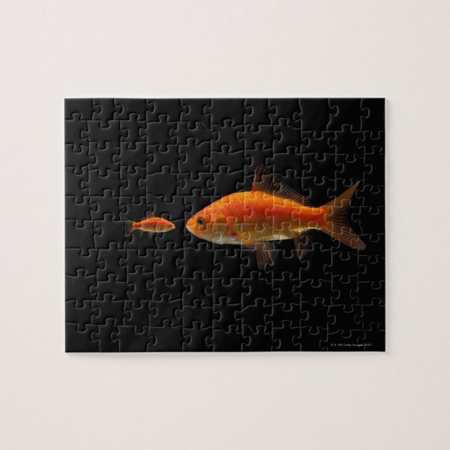 Goldfish 4 jigsaw puzzle (Horizontal)