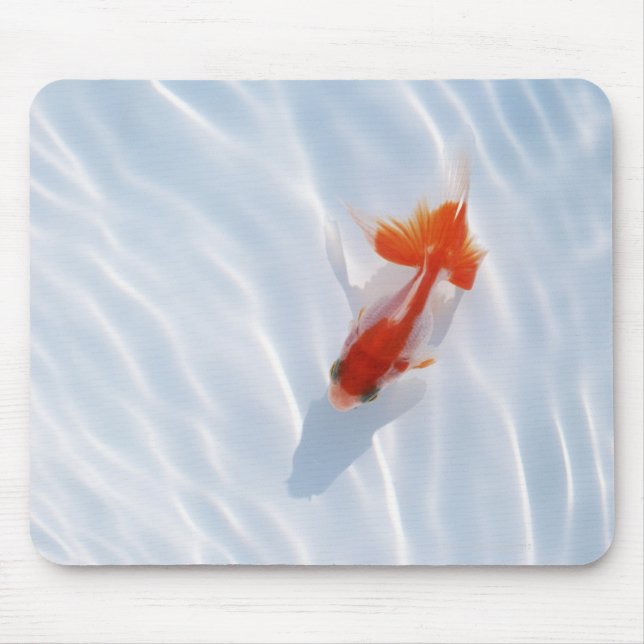 Goldfish 5 mouse mat (Front)