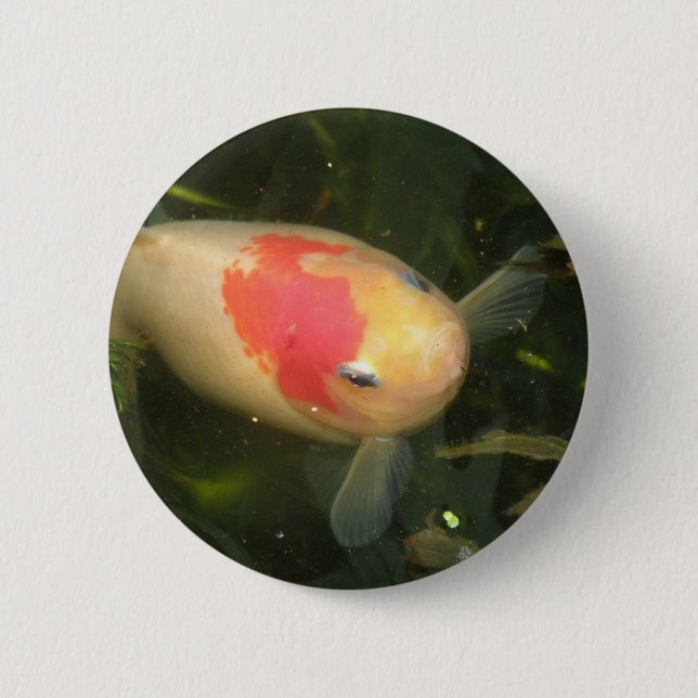 Goldfish Button (Front)