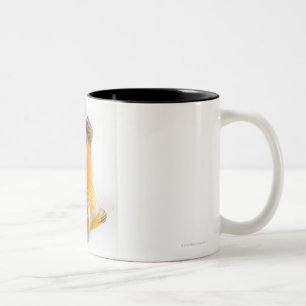 Goldfish (Carassius auratus) Two-Tone Coffee Mug