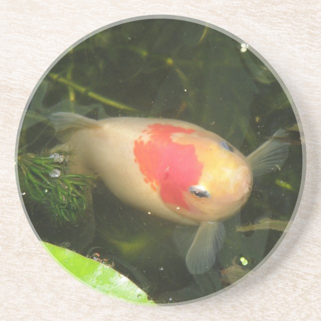 Goldfish Coasters (Front)
