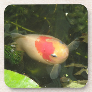 Goldfish Cork Coaster