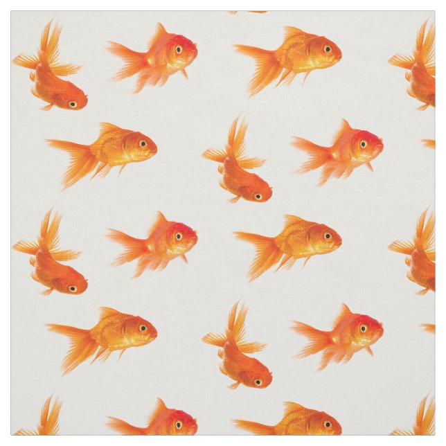 Goldfish Fabric (Swatch)