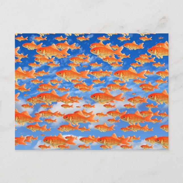 Goldfish Heaven Postcard (Front)