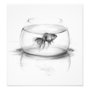 Goldfish in a bowl pencil art Photo print