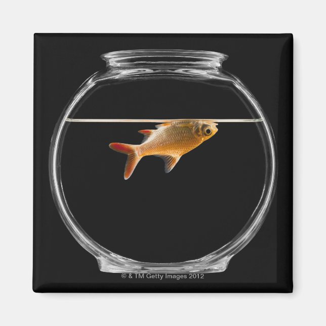 Goldfish in bowl 2 magnet (Front)