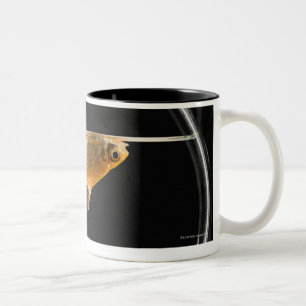 Goldfish in bowl 2 Two-Tone coffee mug