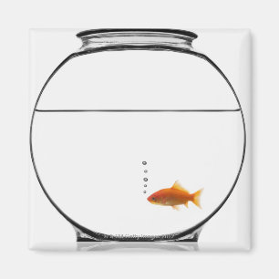 Goldfish in bowl magnet
