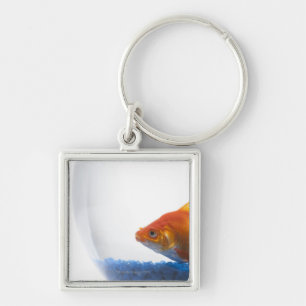 Goldfish in bowl on white background key ring