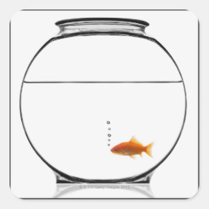 Goldfish in bowl square sticker