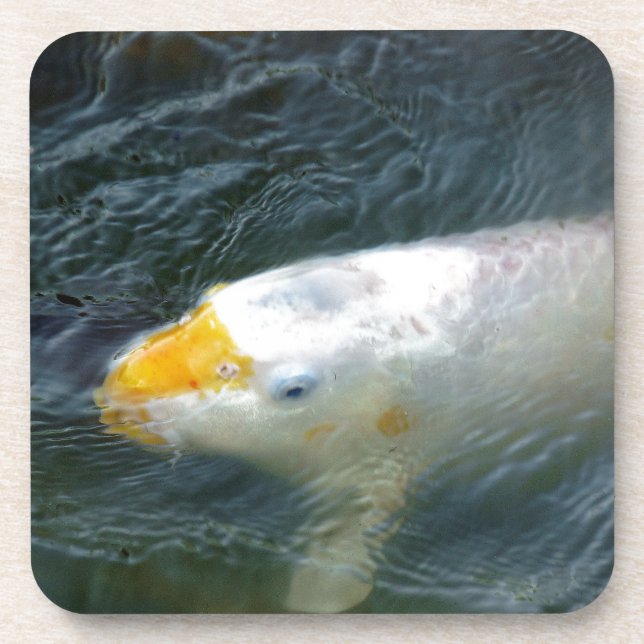 Goldfish In Lake Coaster (Front)