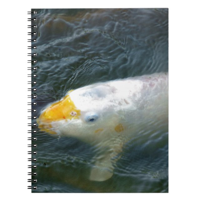 Goldfish In Lake Notebook (Front)