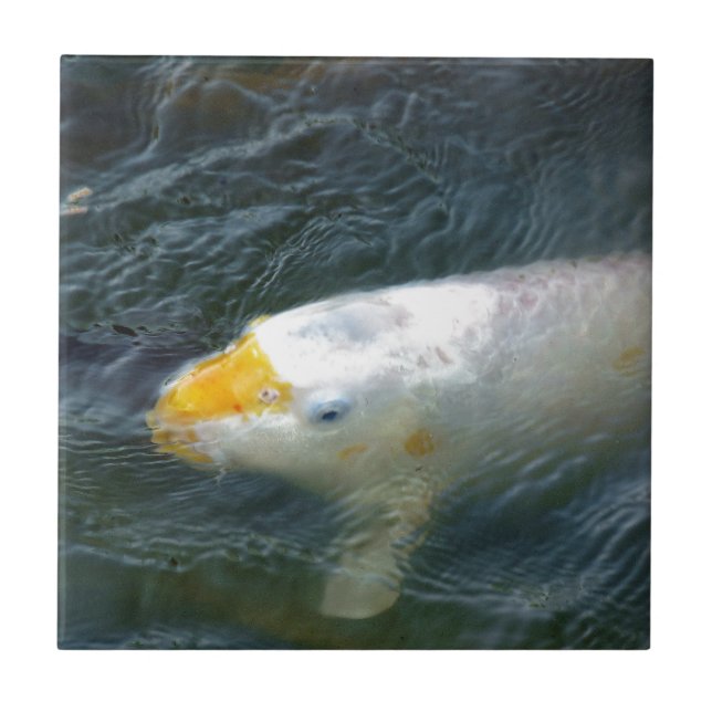 Goldfish In Lake Tile (Front)