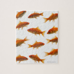 Goldfish Jigsaw Puzzle