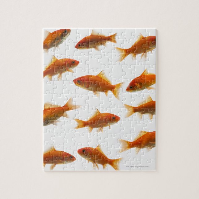 Goldfish Jigsaw Puzzle (Vertical)