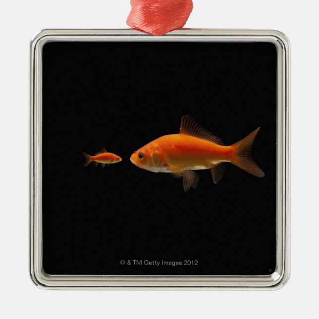 Goldfish Metal Tree Decoration (Front)