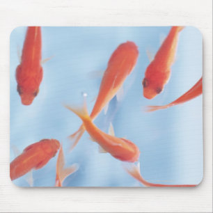 Goldfish Mouse Mat