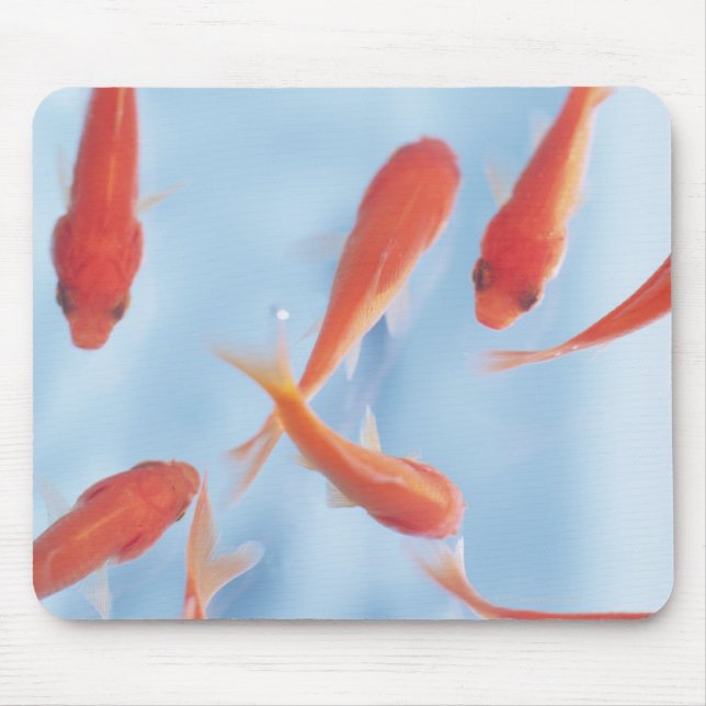 Goldfish Mouse Mat (Front)