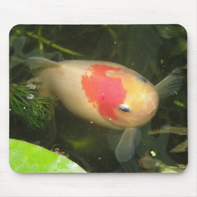 Goldfish Mousepad (Front)