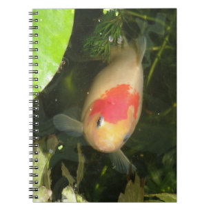 Goldfish Notebook
