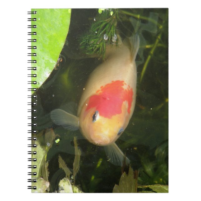 Goldfish Notebook (Front)