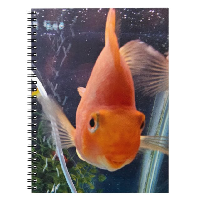 goldfish notebook (Front)